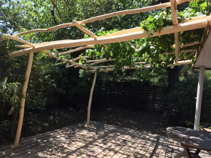 Pergola vgtale structure rondin d'acacia